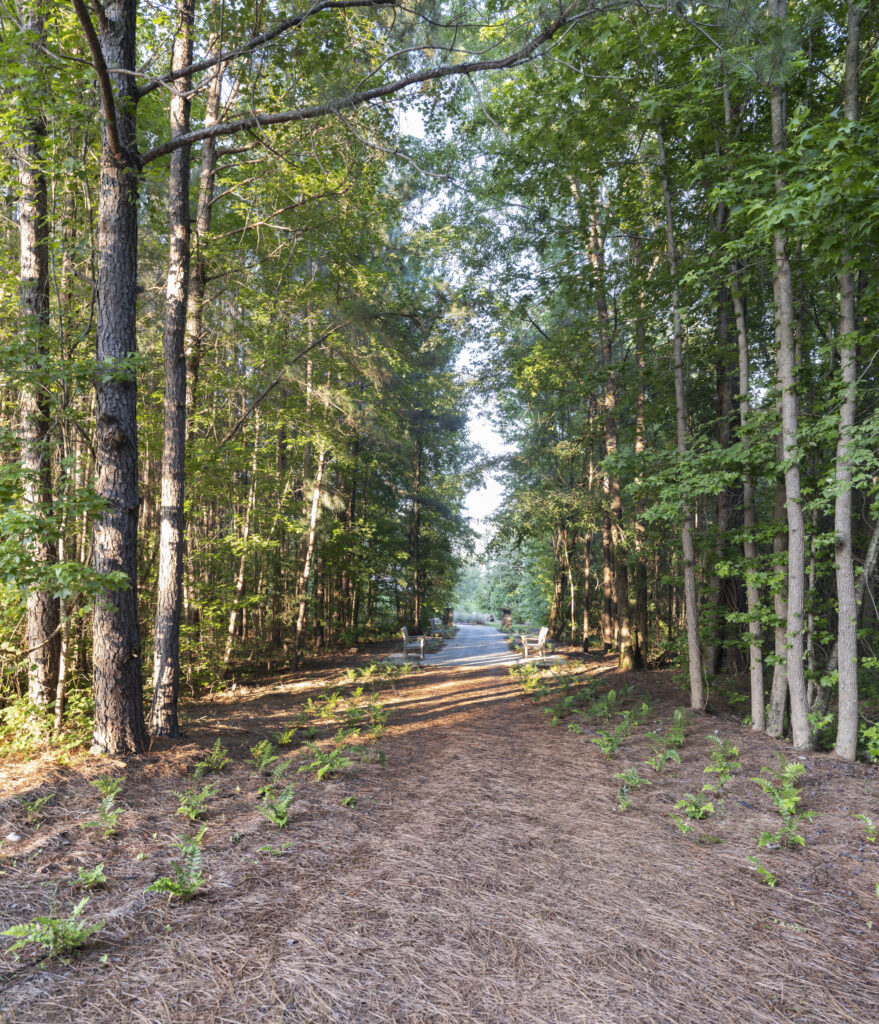 Advent Almost Silent Retreat for Women