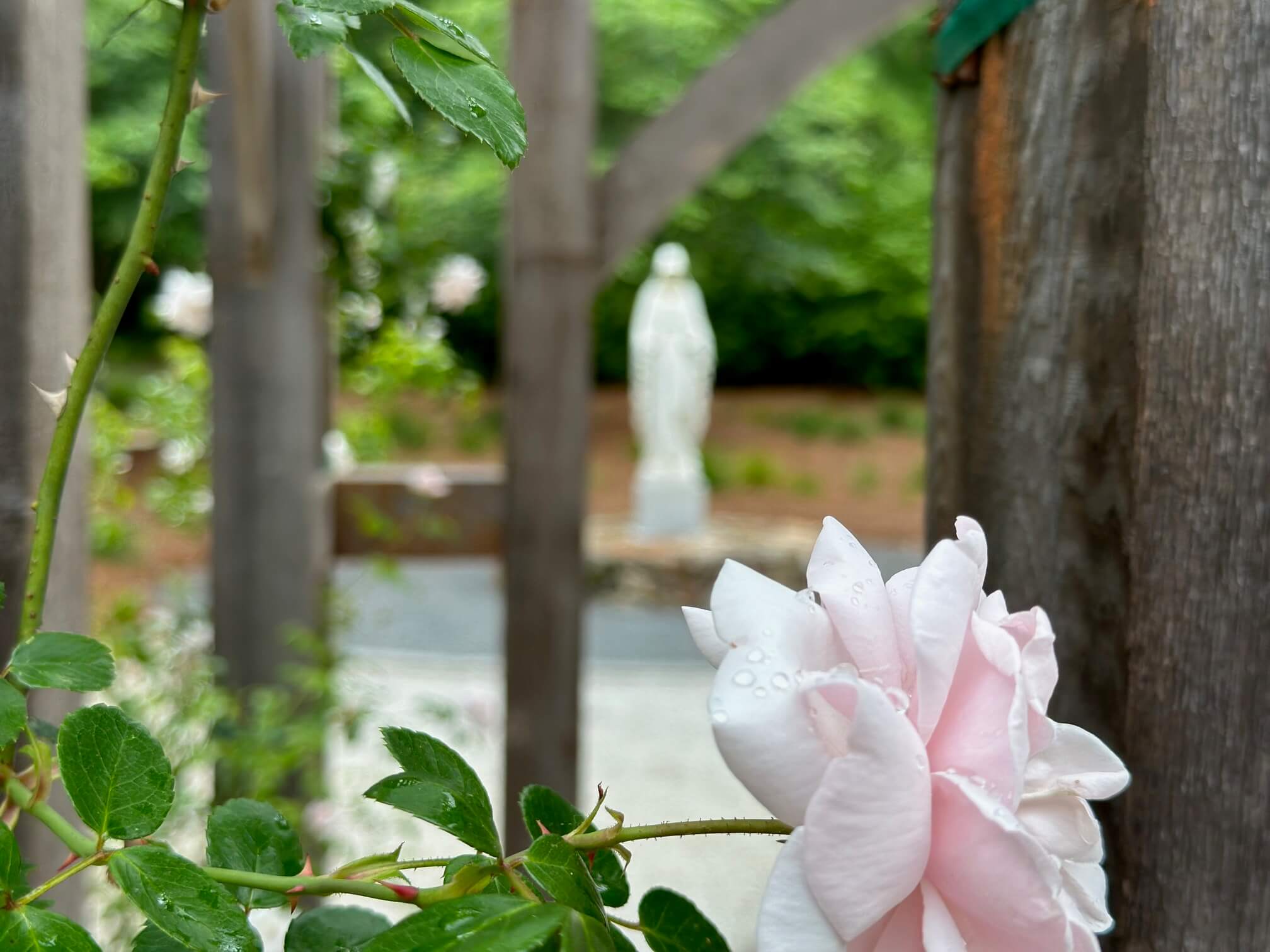 Spiritual Retreats
