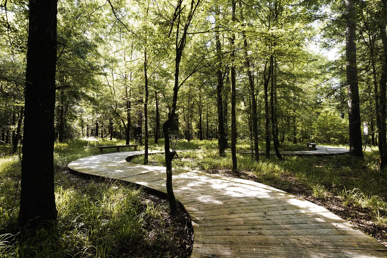 Walking Sacred Ground: A Pilgrim’s Invitation to Heritage