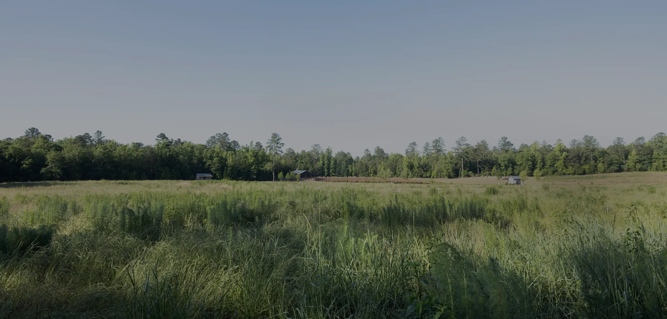 mens-retreat-field-heritage-georgia