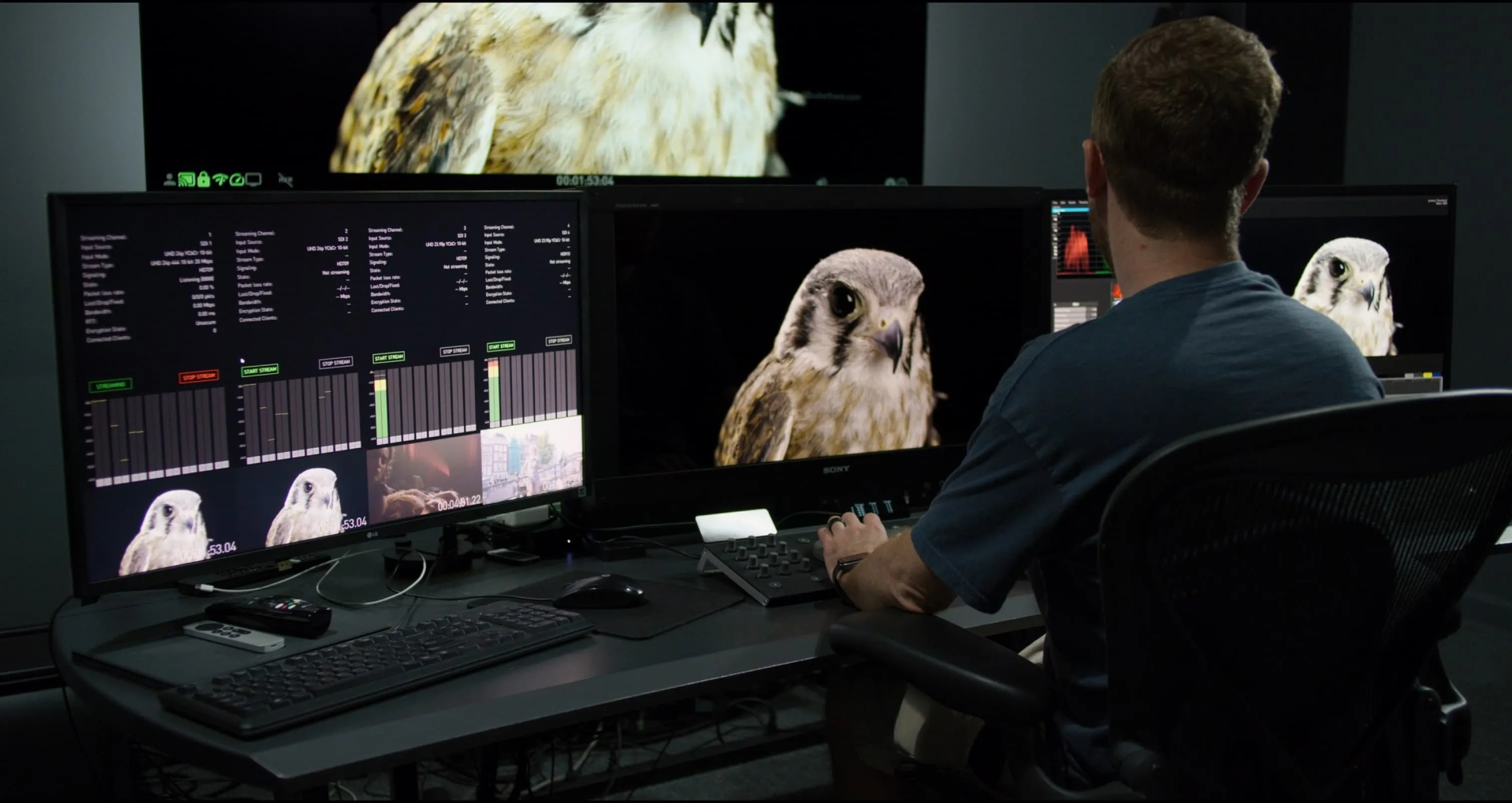 A colorist at a grading desk reviewing an image of a kestrel across several reference monitors
