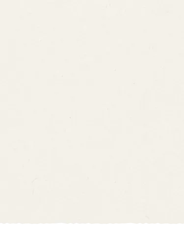 Plain off-white textured background with subtle speckles.