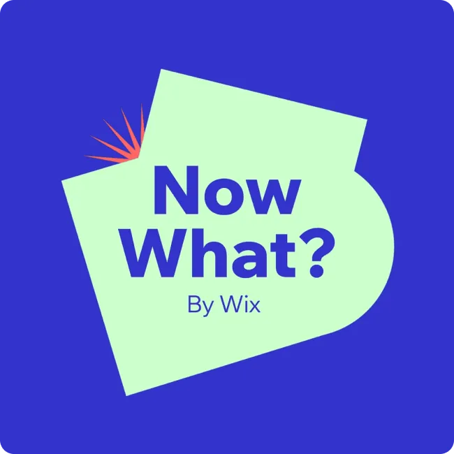 Graphic with text 'Now What? By Wix' on a light green irregular shape with a small red burst on a blue background.