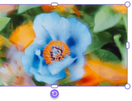 Close-up of a blue flower with yellow-orange stamens surrounded by green leaves and blurred orange flowers.
