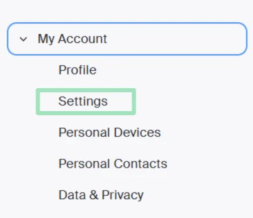 Zoom settings