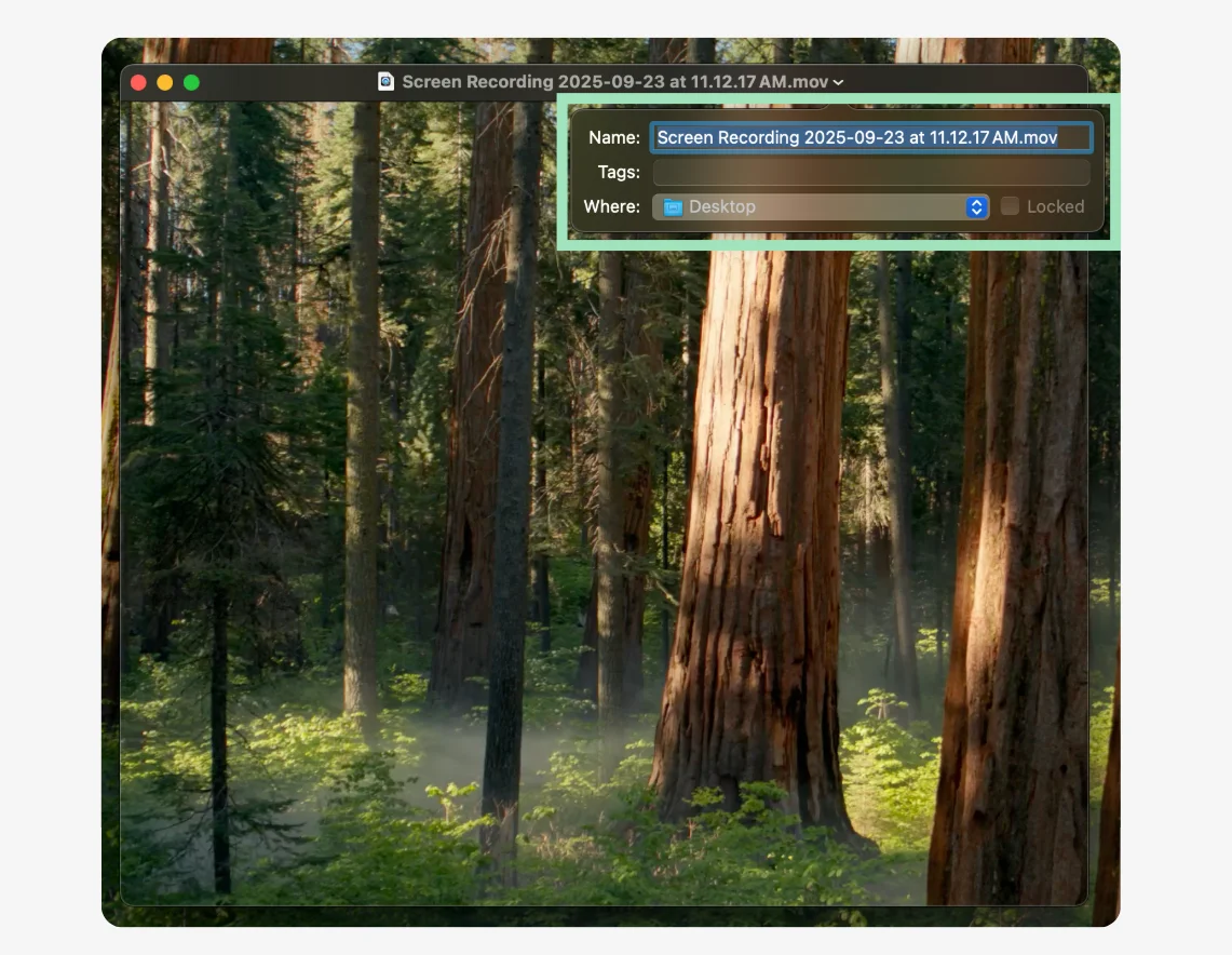 QuickTime naming your file