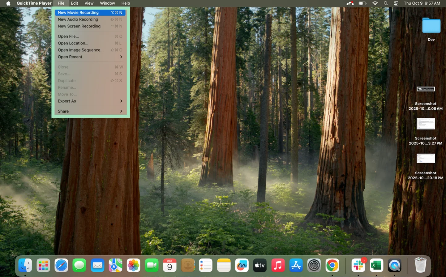QuickTime New Movie Recording