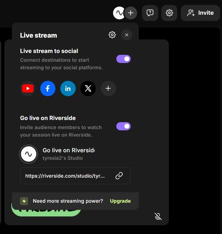Riverside live streaming panel