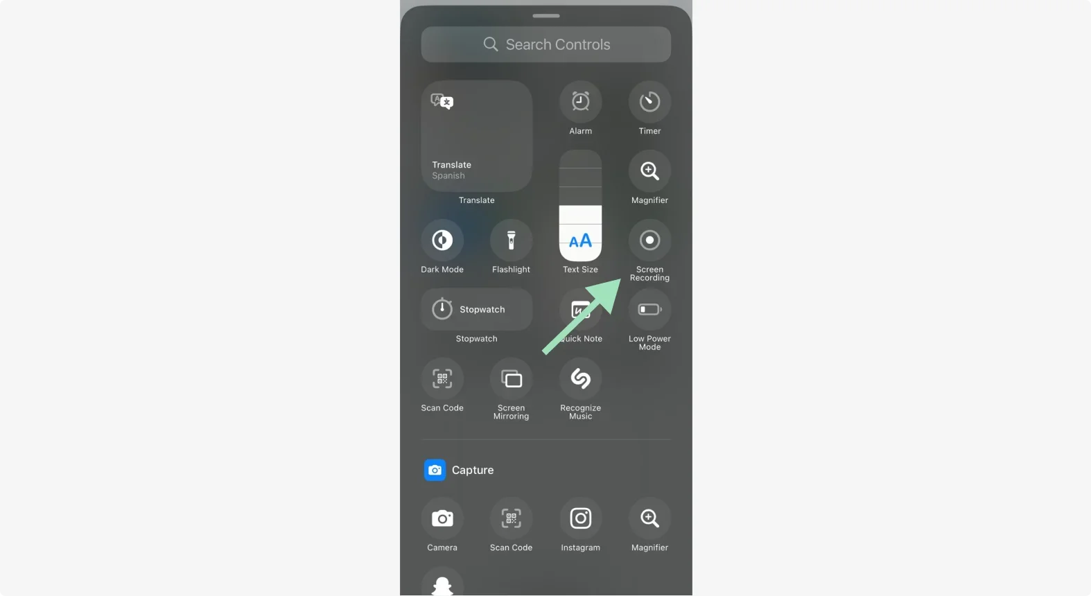 Facetime app screen recording button