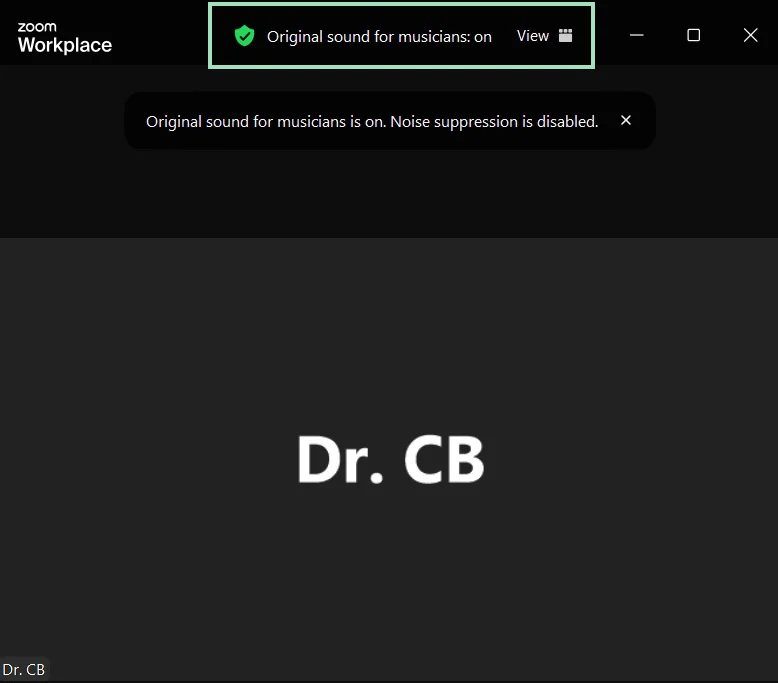 Zoom app original sound confirmation