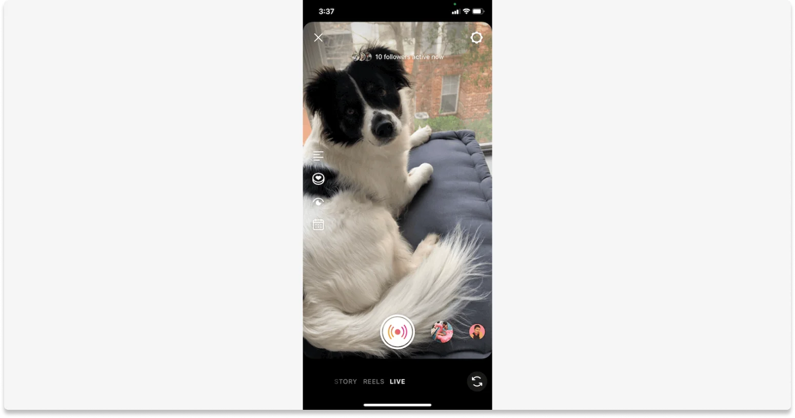 Going live on Instagram