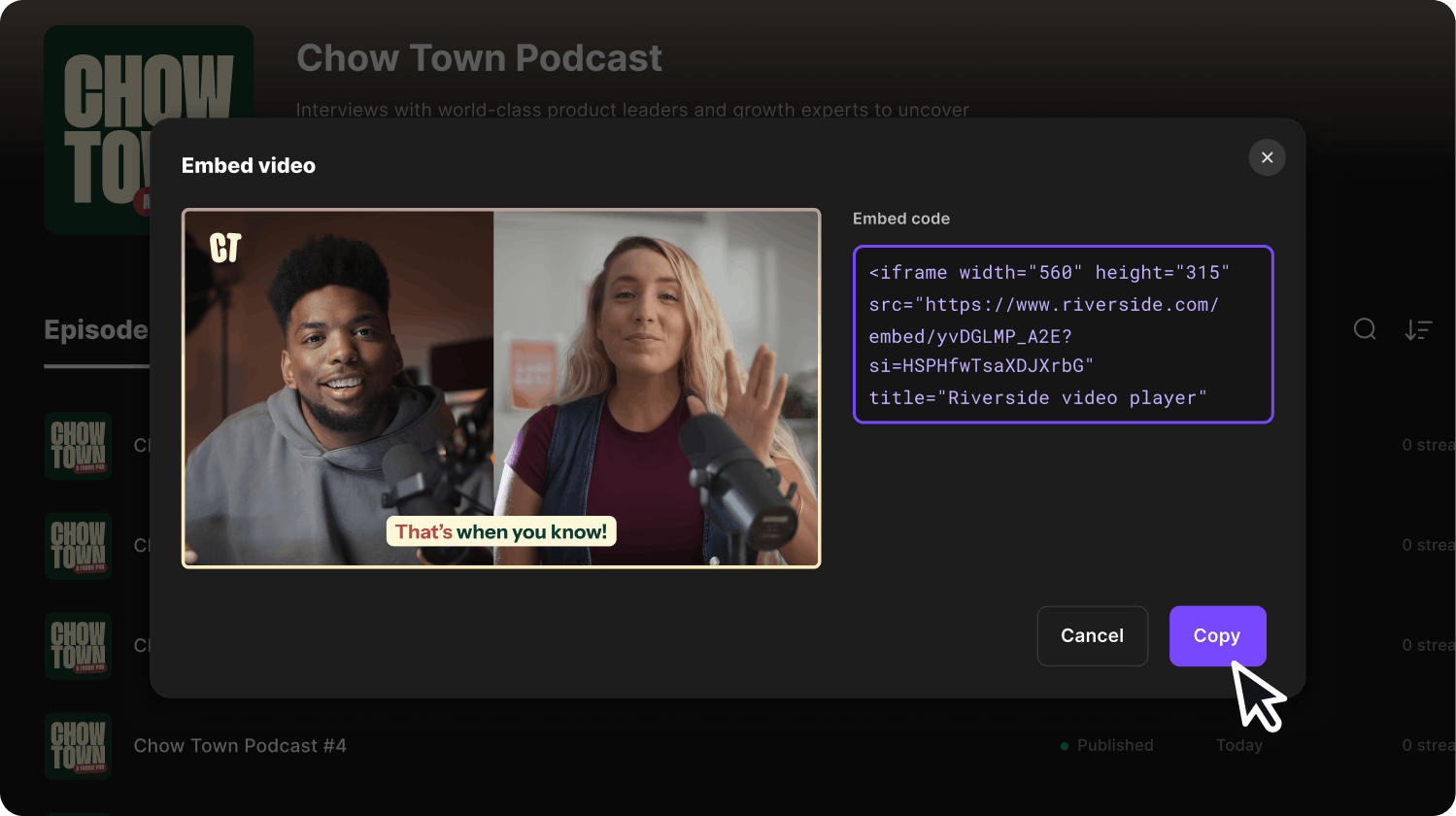 Embed video visual with the code