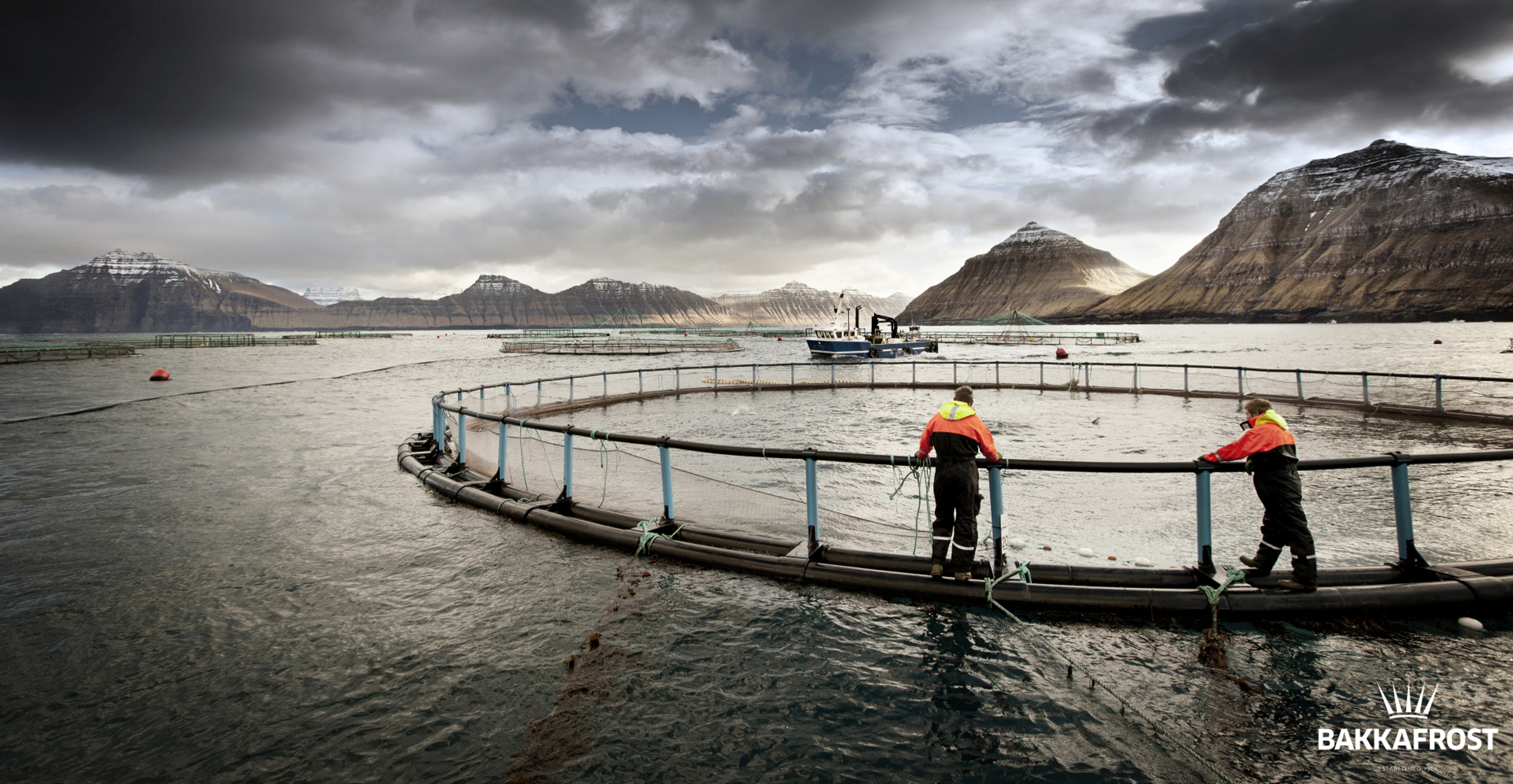 Bakkafrost Supports Ocean Night as a Main Sponsor, Showcasing Faroese Food Traditions