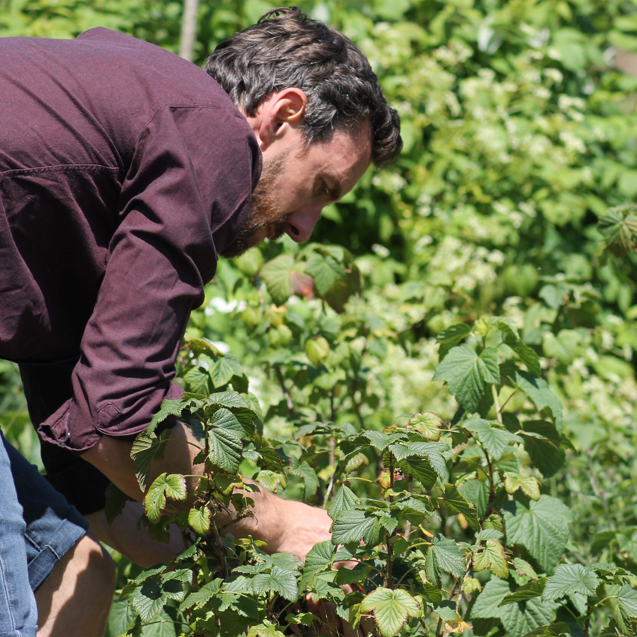 Sam choosing freshly grown fruit and veg