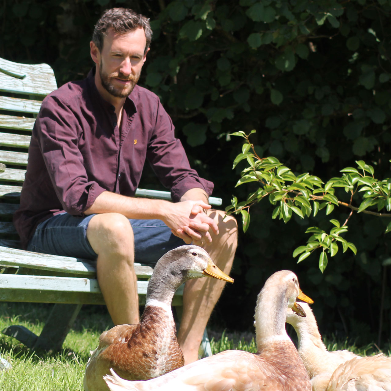 Reframed.Mindset - Therapy and Coaching North Devon