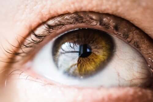 Can Dry Eyes Cause Blurry Vision and Perhaps Vision Loss? Here’s What You Need to Know