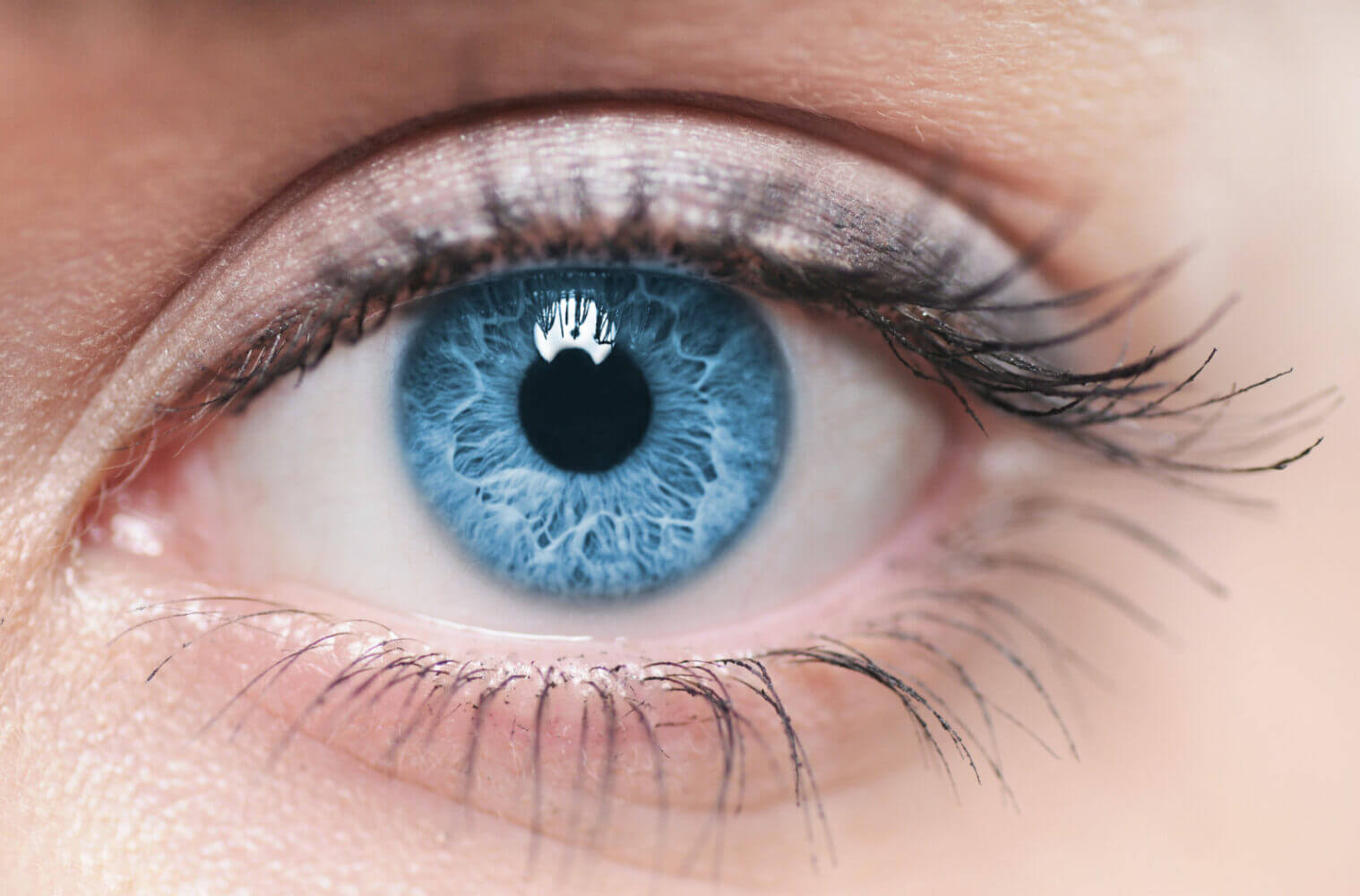 Why You May Prefer Wearing Scleral Lenses Instead of RGP Lenses
