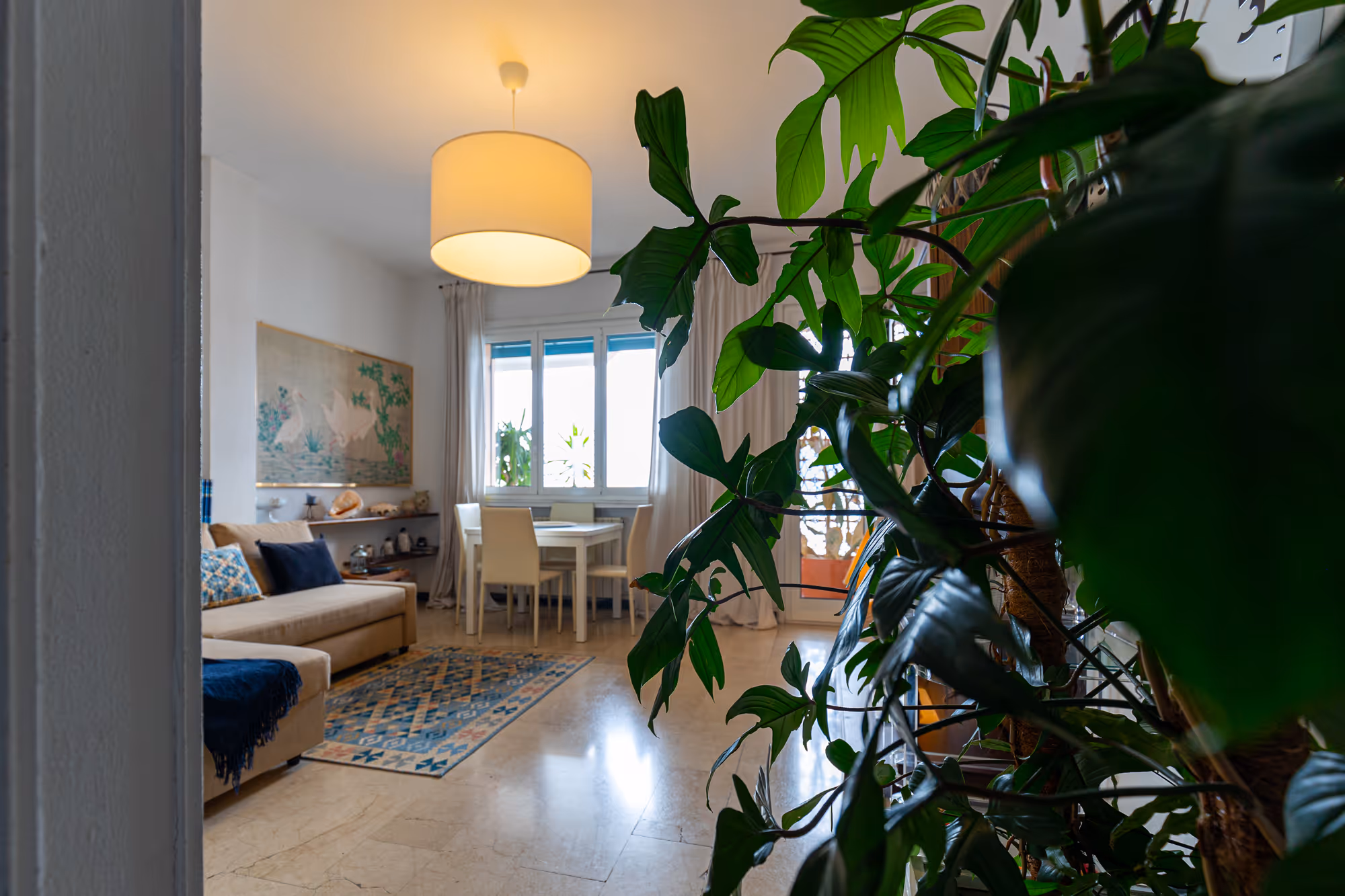 the living room of casa isola showing the sofa, plants, lights and dimensions of the room