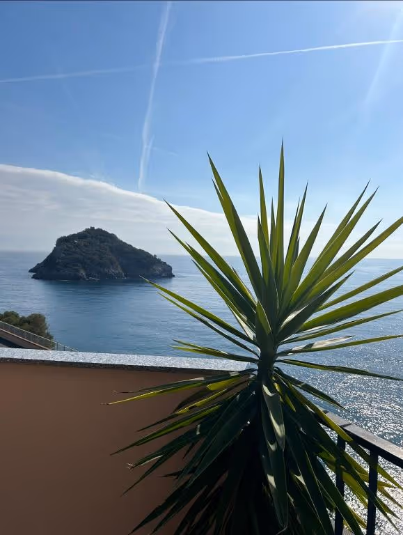 Pianta tropicale con vista sul mare e isola rocciosa sotto cielo azzurro
