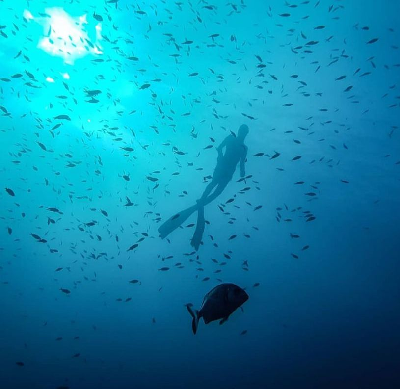 a diving sub into the sea of liguria