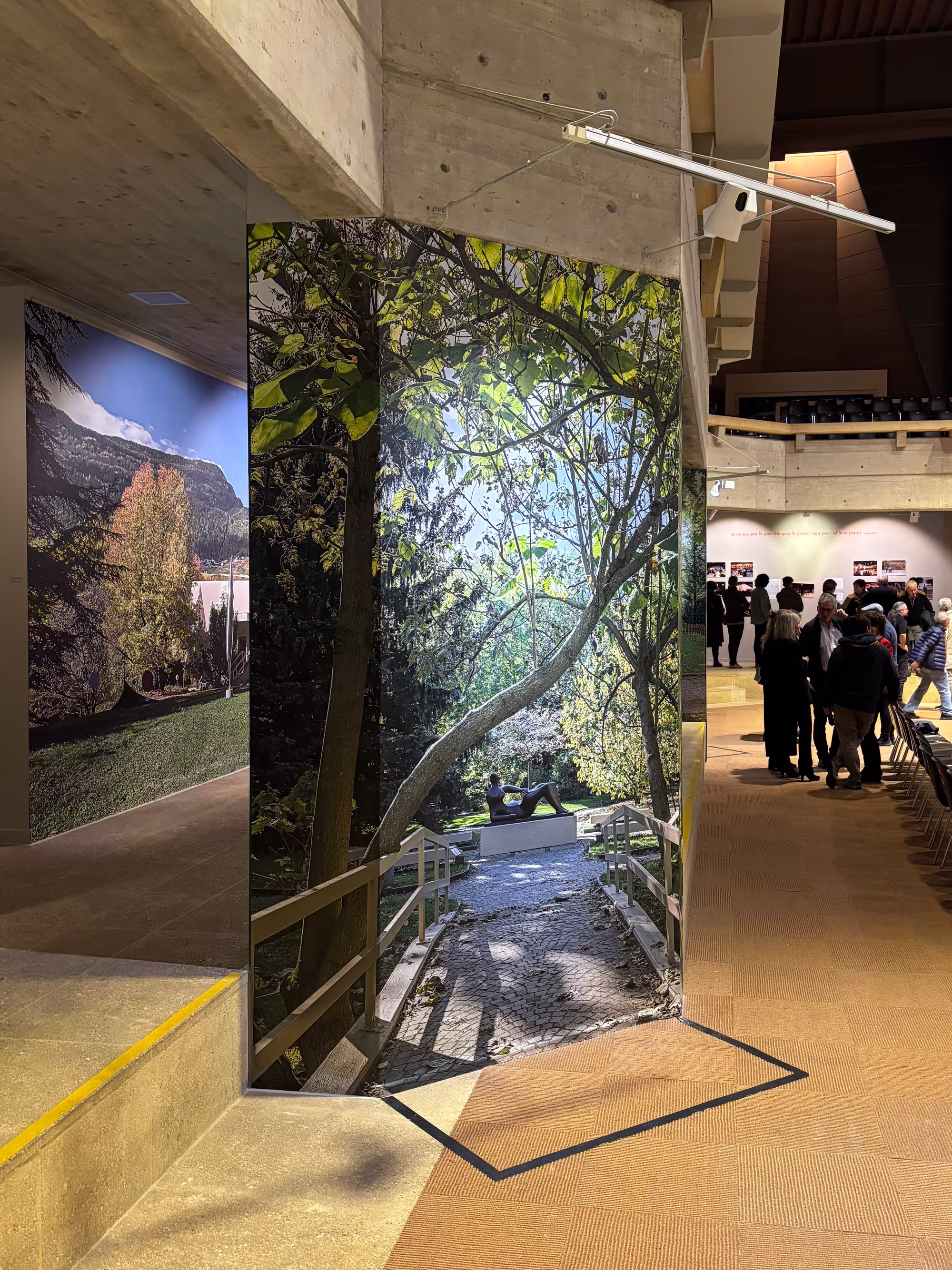 Exemple de papier peint pour l'exposition "Léonard Gianadda - Hommage en photographies"