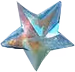 Glittery Star