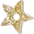 Glittery Star