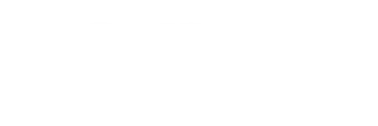 Holman logo