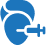 Stylized kidney shape with a medical syringe, representing a medical element.