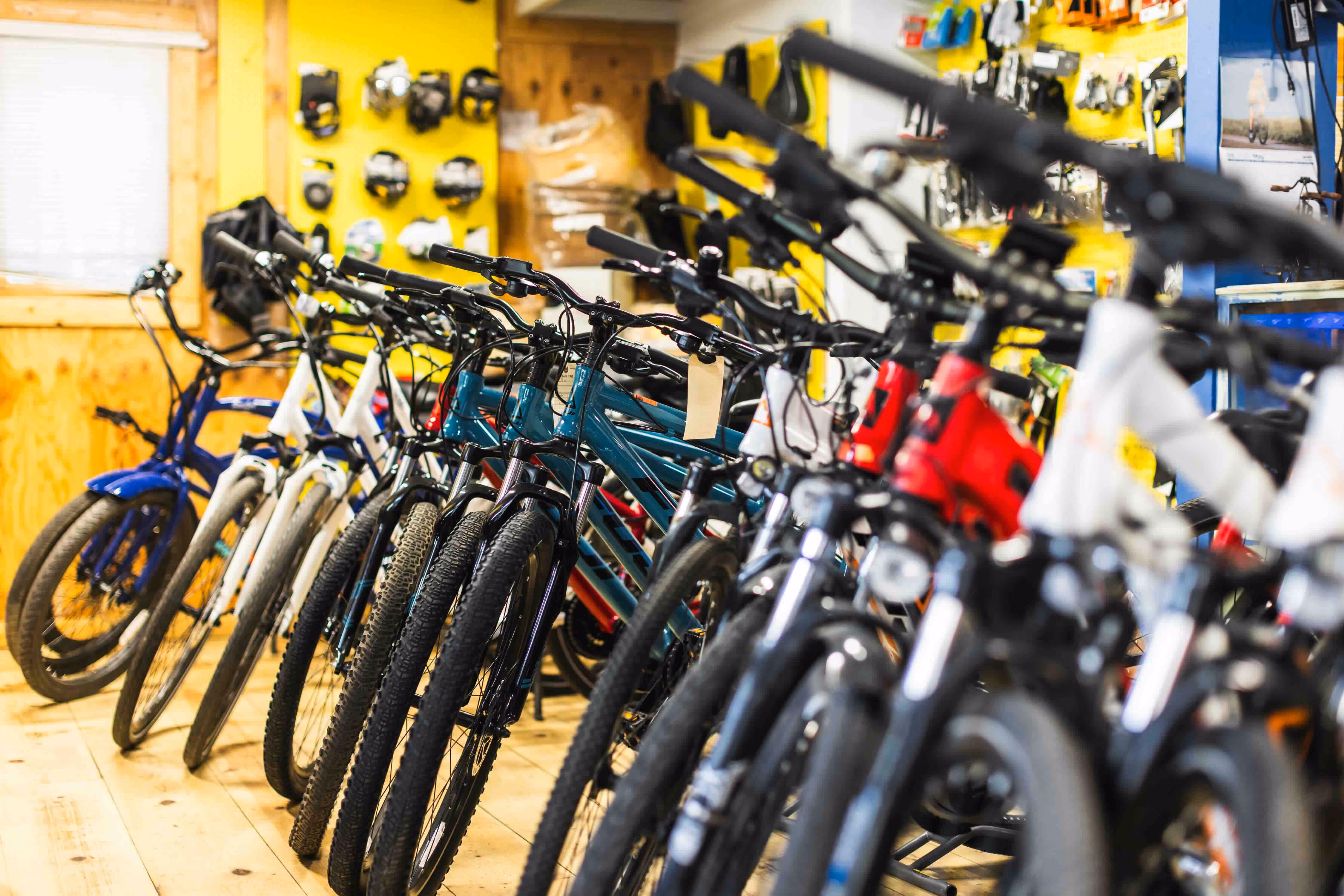 Family on bike rentals riding to Pope Beach