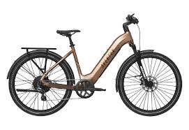 Power e-bike