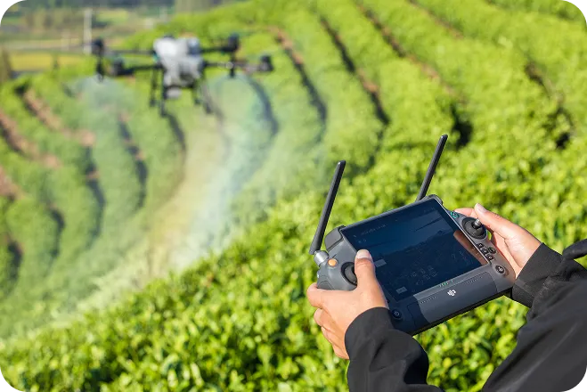 Person operating a drone with a remote controller over a green agricultural field.