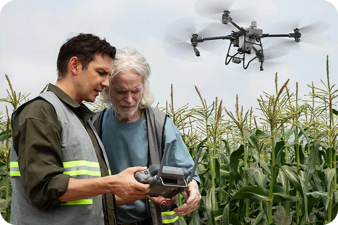 Two men in reflective vests operating a drone over a cornfield with tall green corn plants.