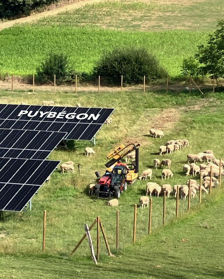 Un premier parc agrivoltaïque dans le Tarn