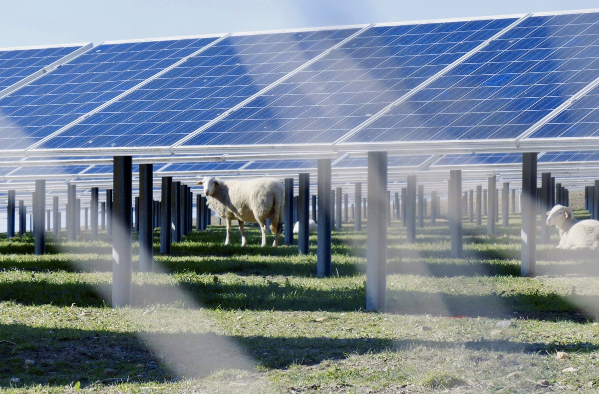 Un mot sur l'agrivoltaïsme