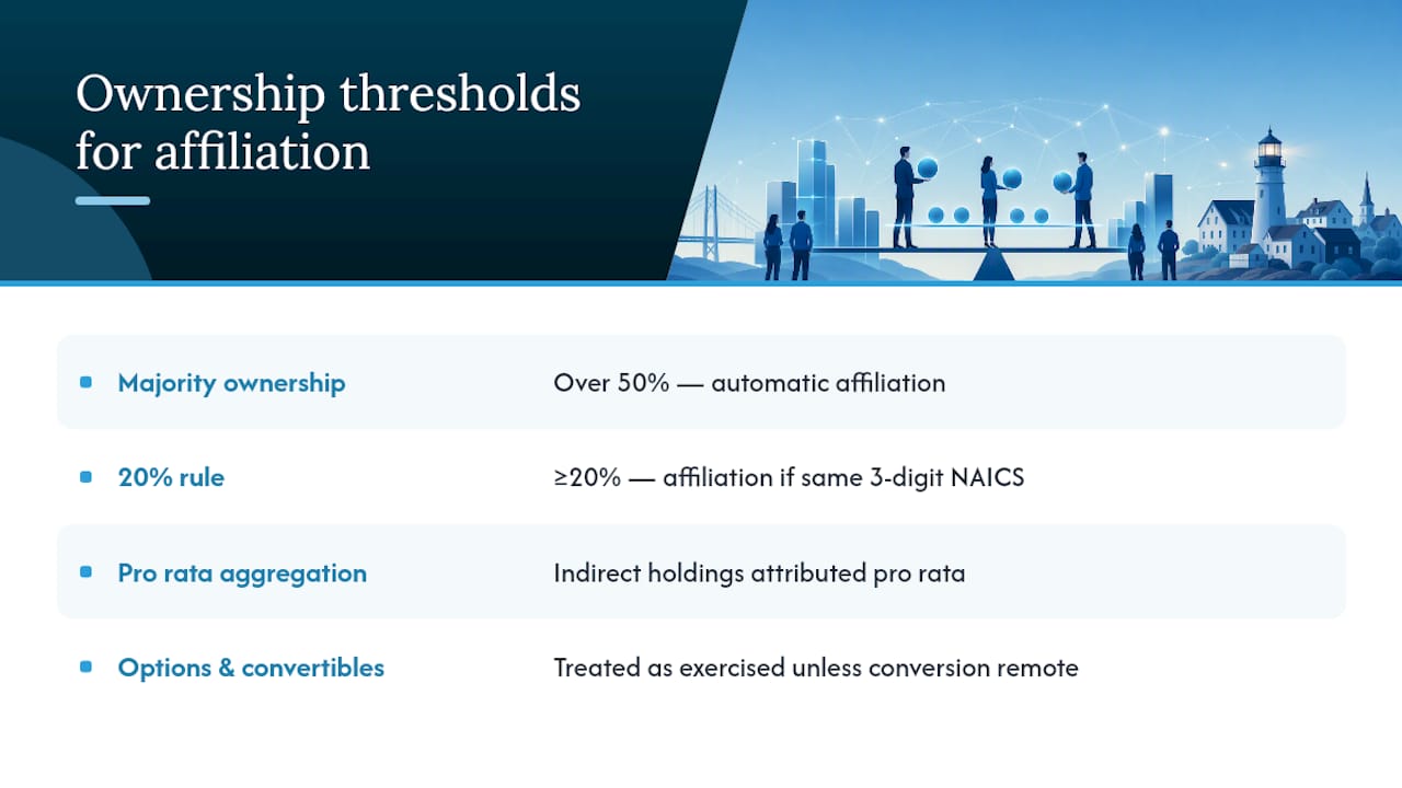 The Ownership Thresholds That Trigger Affiliation — overview diagram