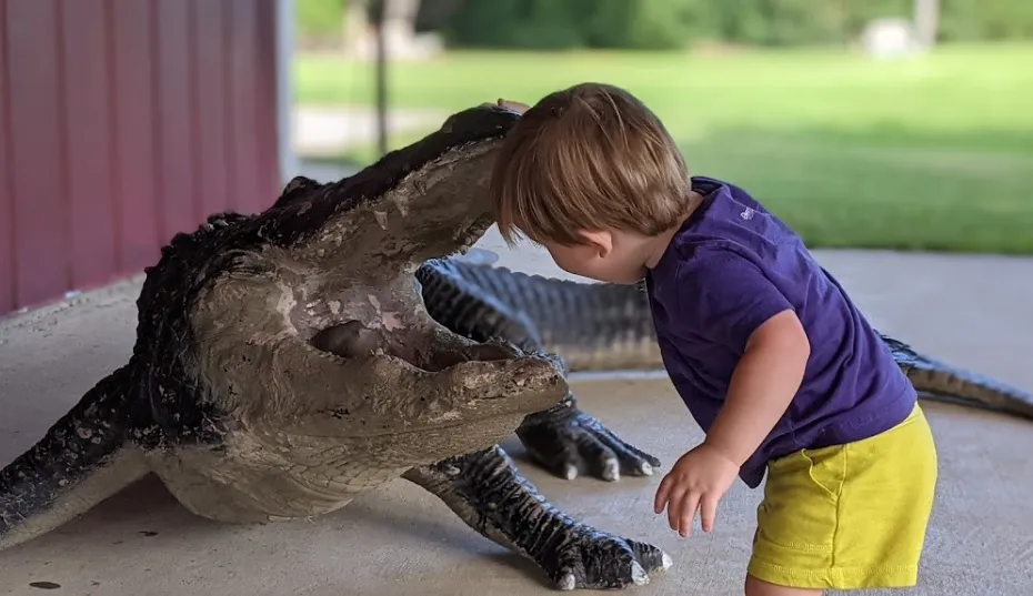 Insta-gator ranch photo op with alligator statue.