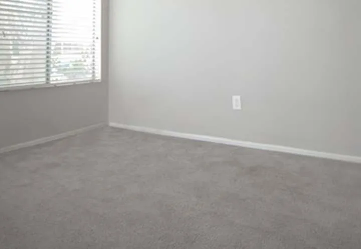 carpet sample