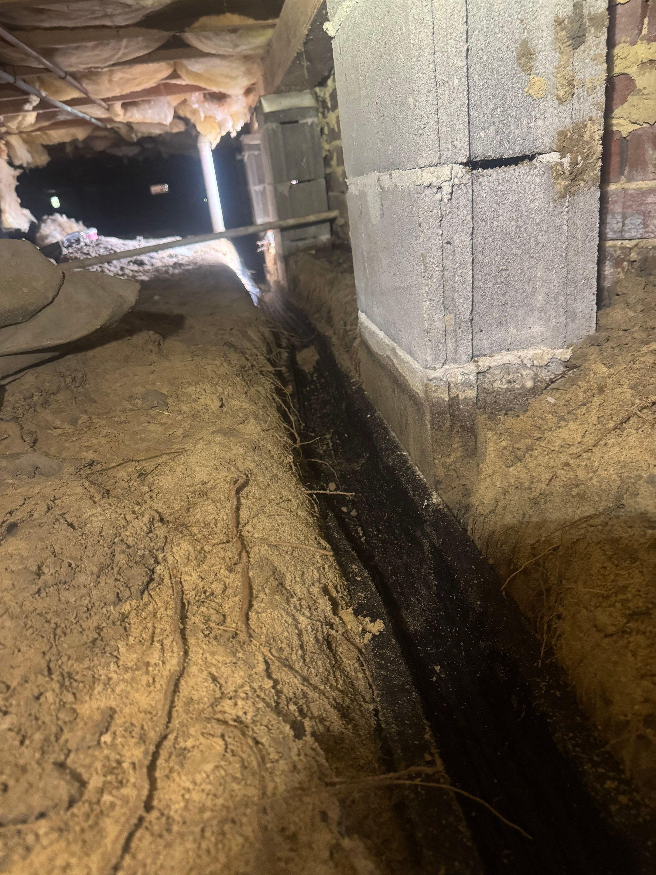 Humidity & Mold Control Services