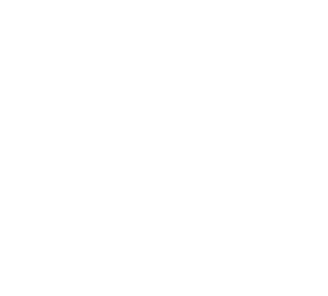 Bell House Training
