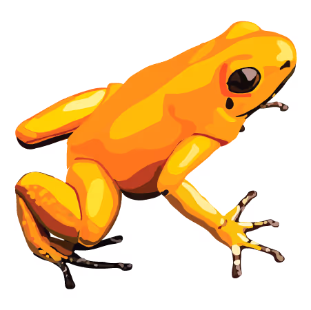 Golden Poison Frog (Phyllobates terribilis)