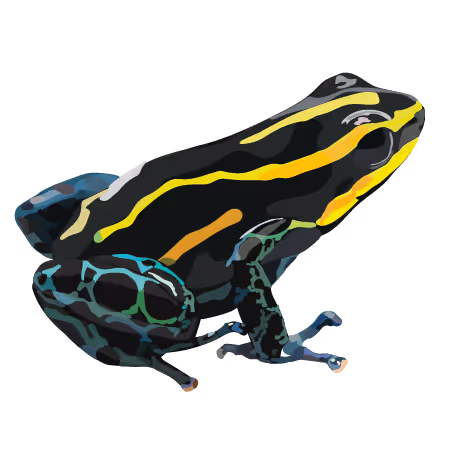 Variable Poison Frog (Ranitomeya variabilis)
