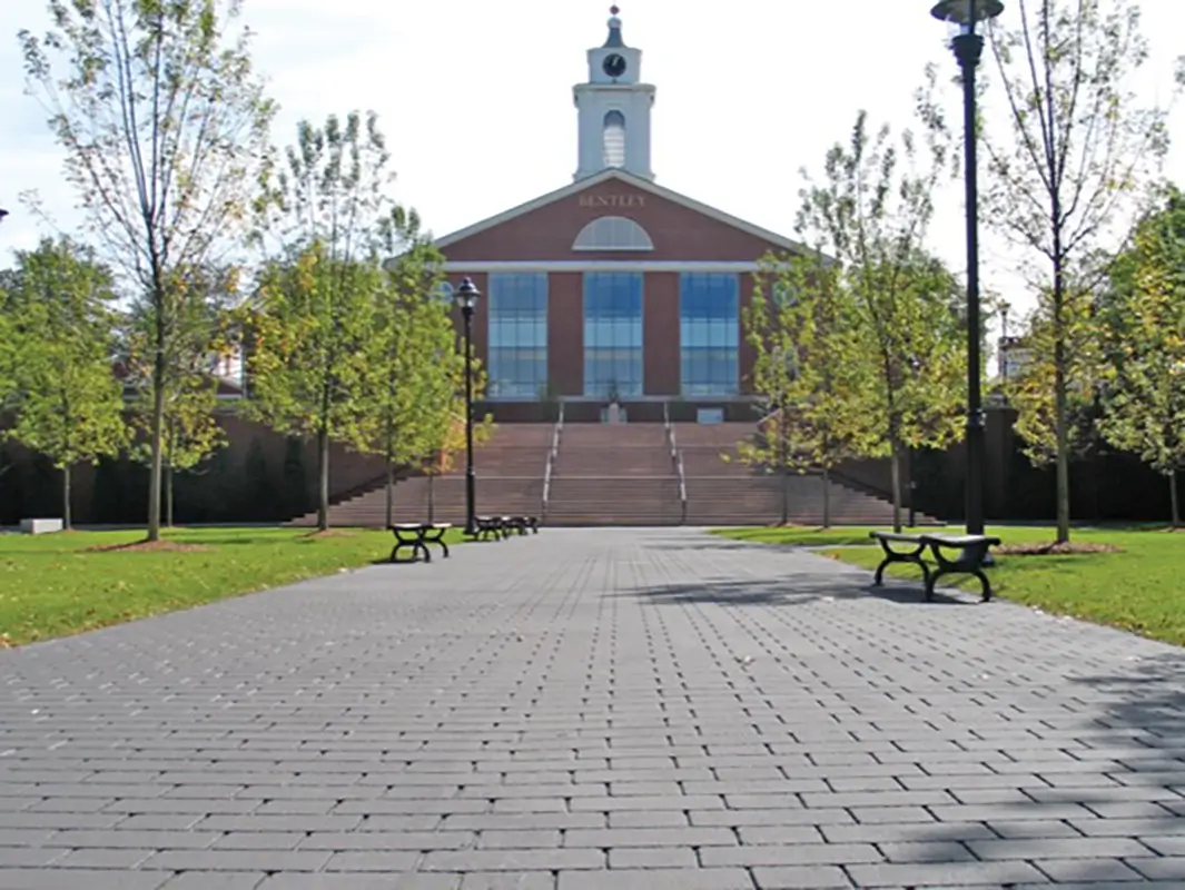 stamped sidewalks on college campus