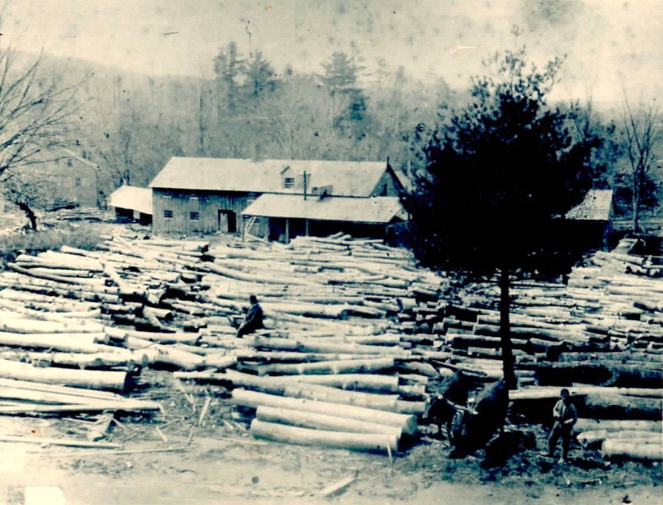 Late 19th-century photograph of Langdon’s Mills in Monterey, Massachusetts, showing workers, horse teams, and lumber operations during the 1890s.