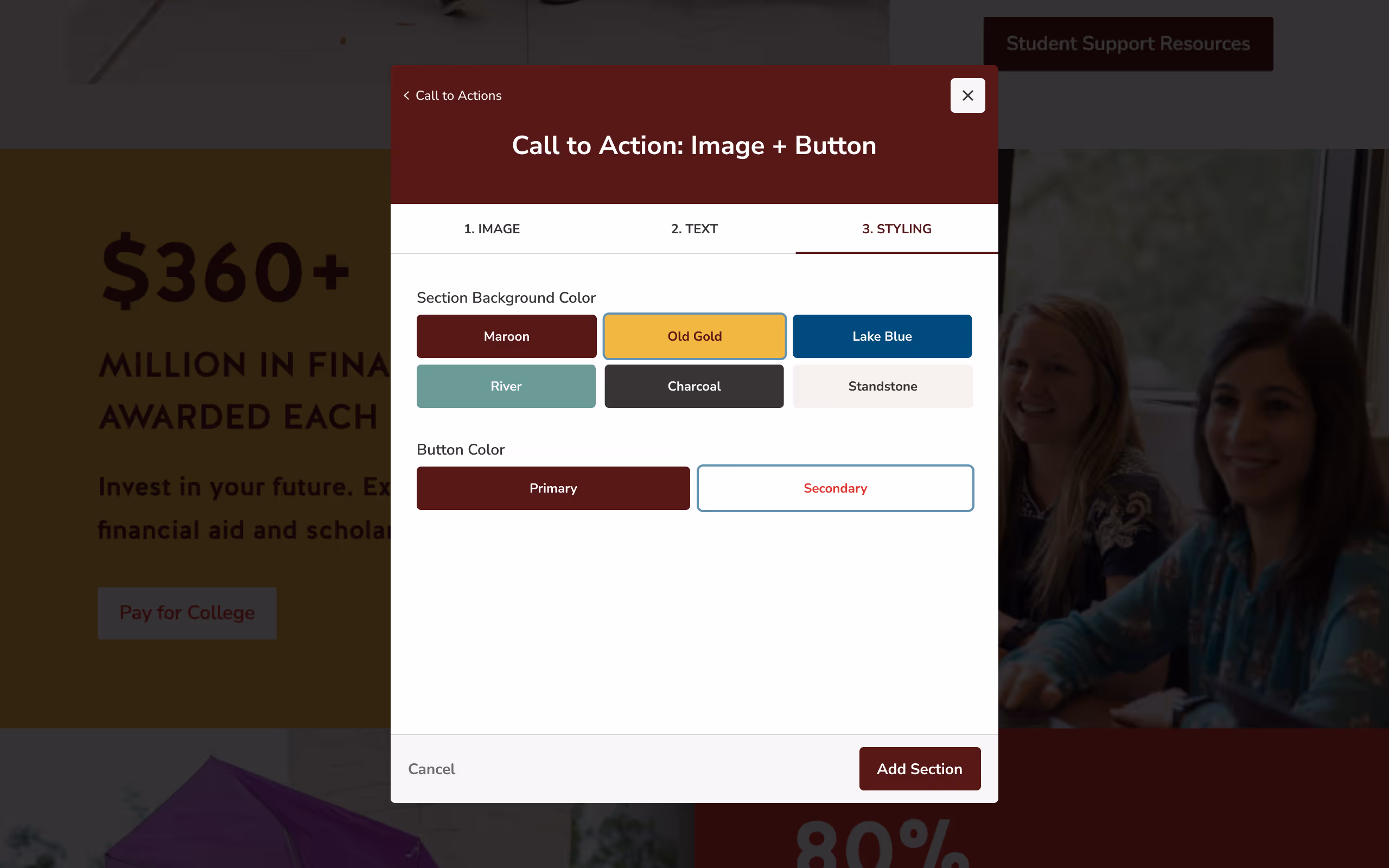 Texas State admin styling selector
