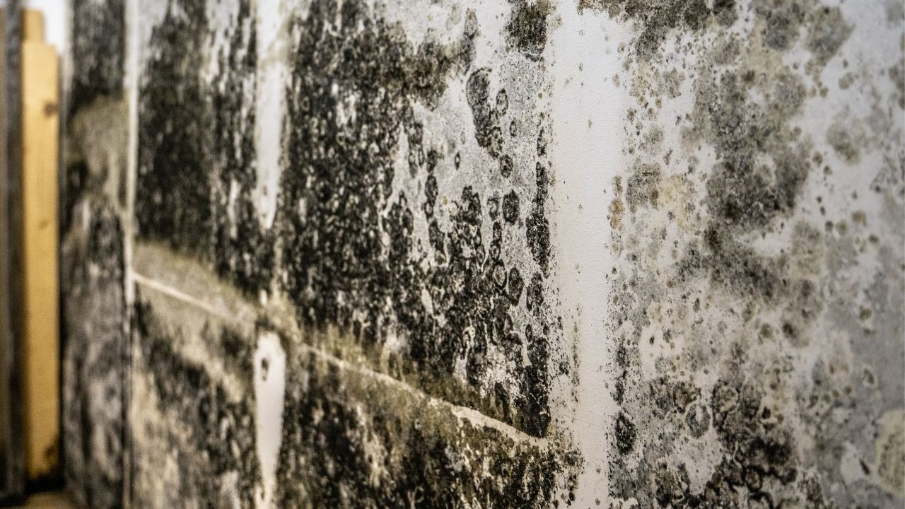 vapor barrier vs encapsulation​