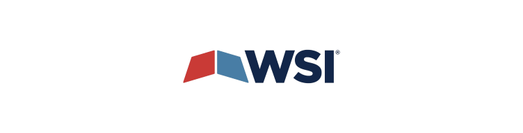 WSI logo