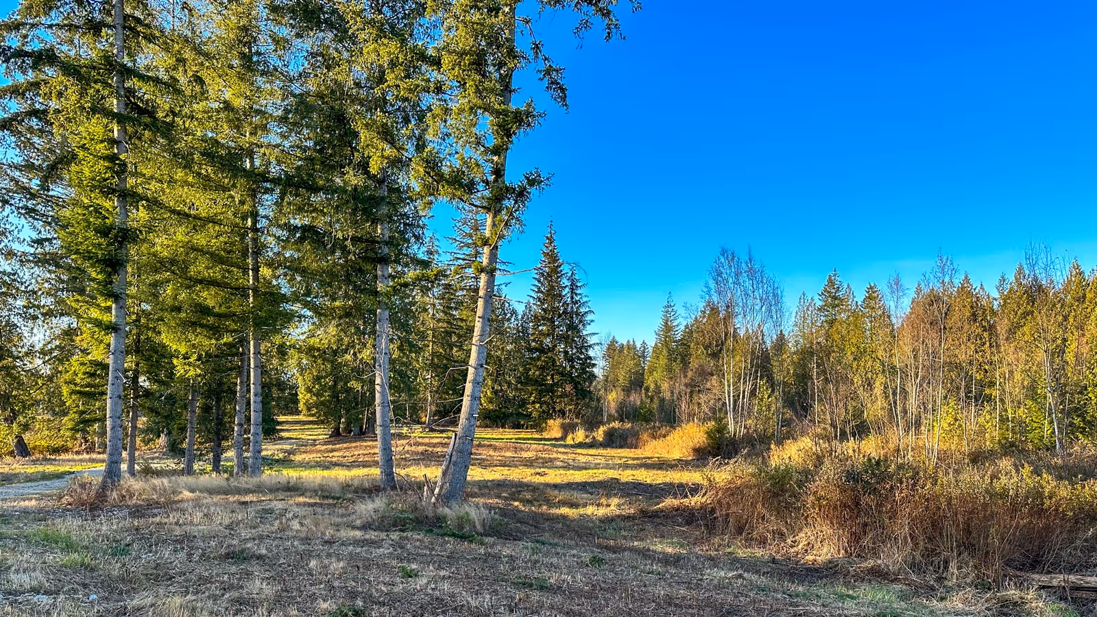 Hero V2 Single Image