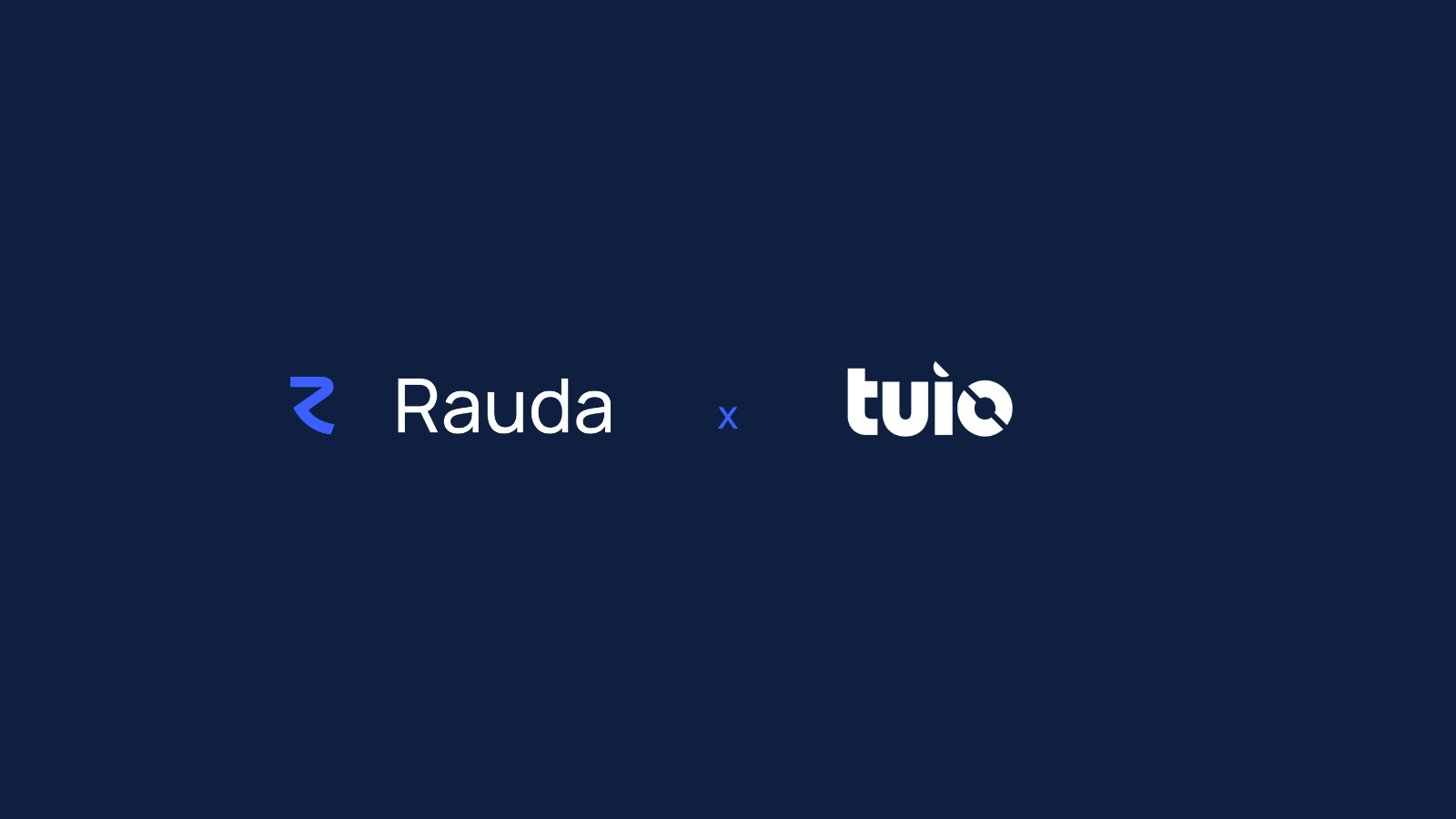 tuio x rauda ai
