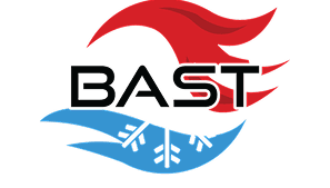Bast